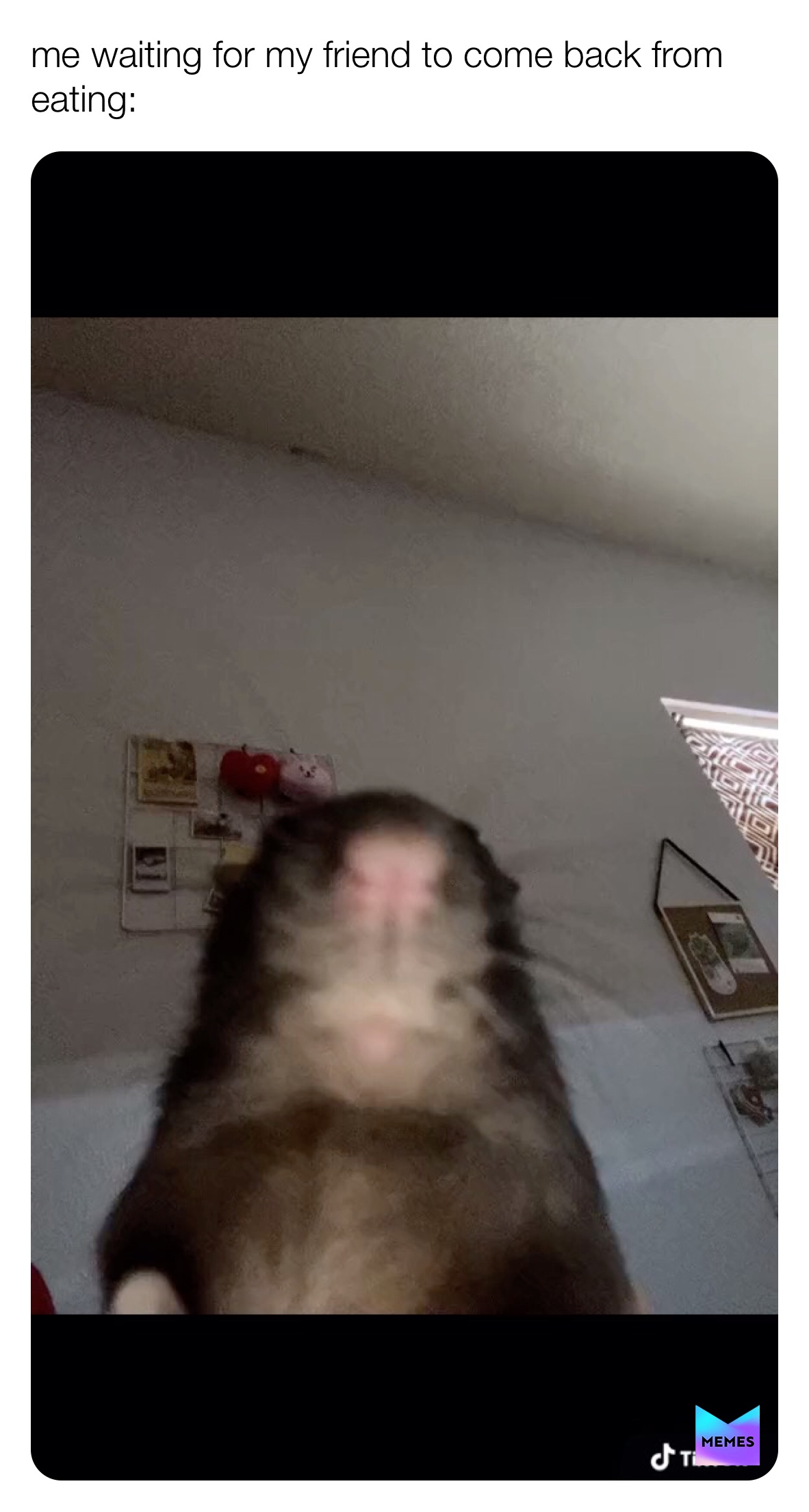 Meme by are_you_sure_squidward