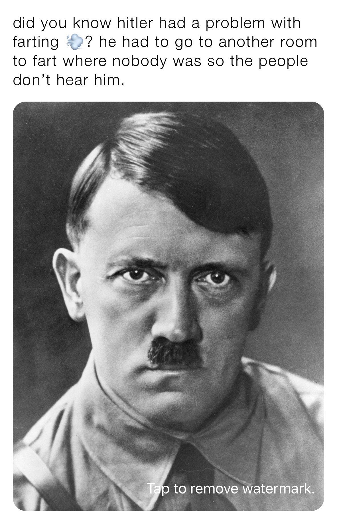 did you know hitler had a problem with farting 💨? he had to go to another room to fart where nobody was so the people don’t hear him.