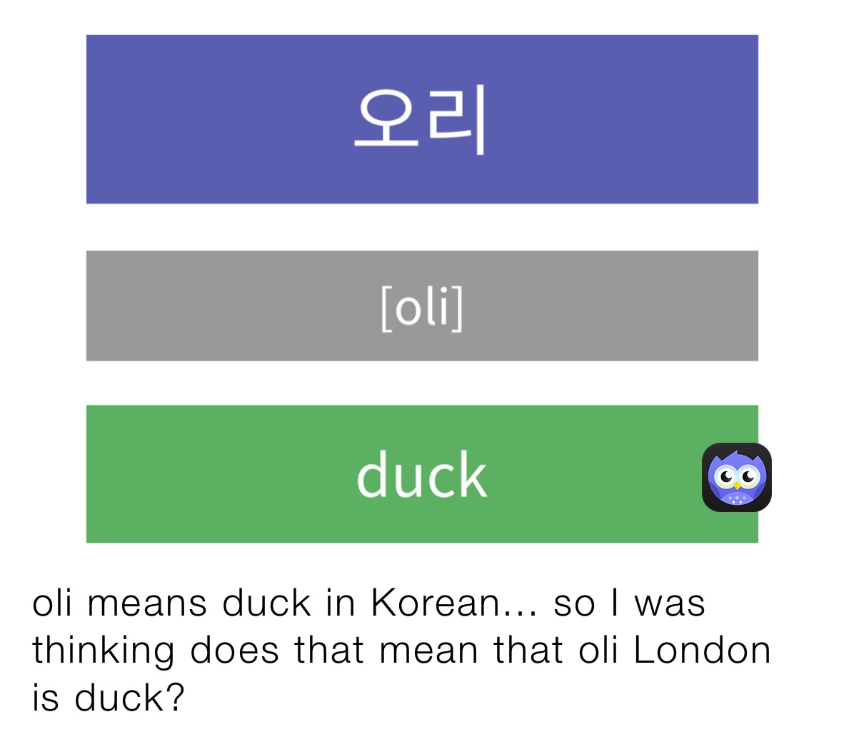 oli means duck in Korean... so I was thinking does that mean that oli London is duck?