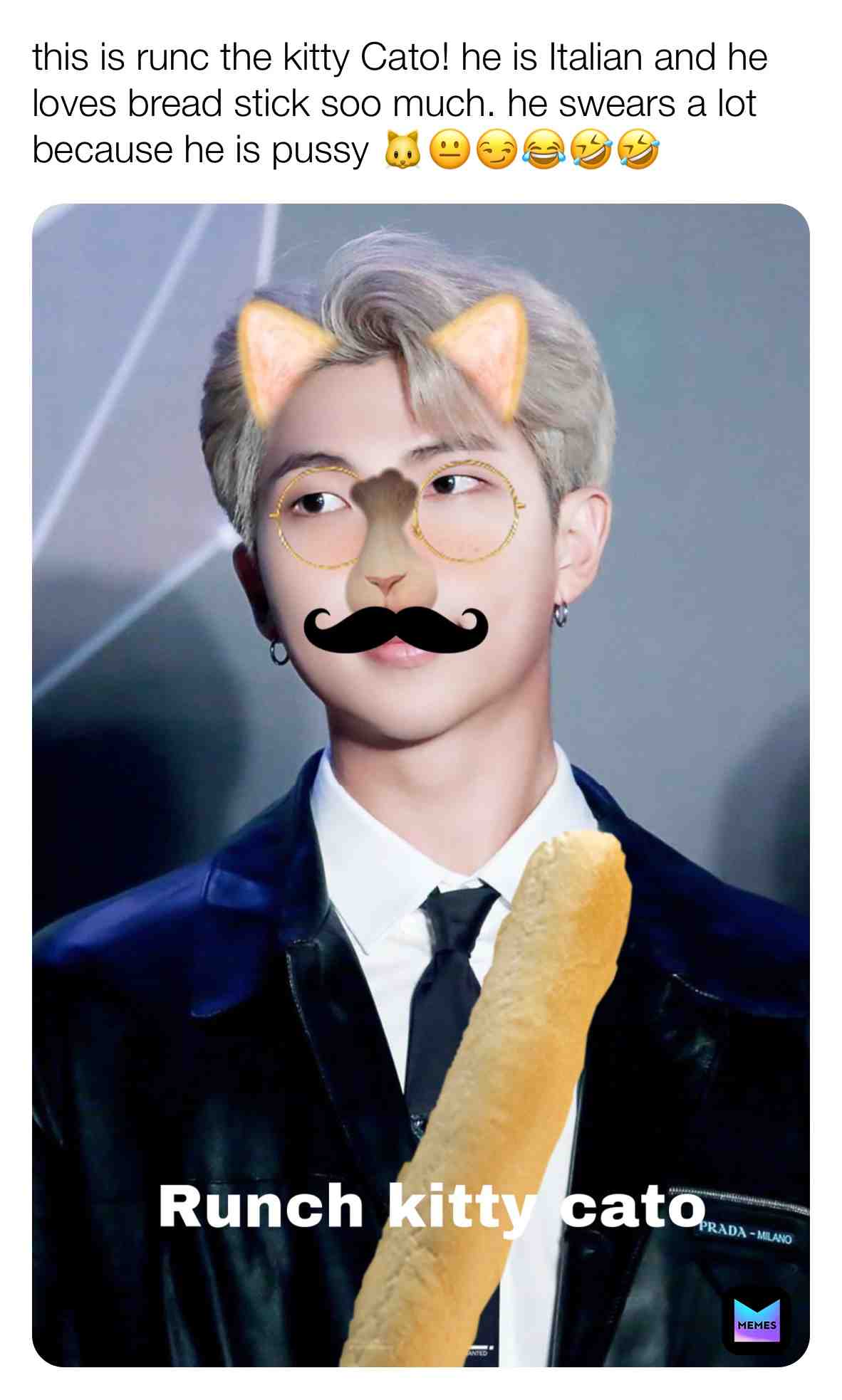 #runchthekittycato #bts #btsmemes #runchranda #rm #namjoon