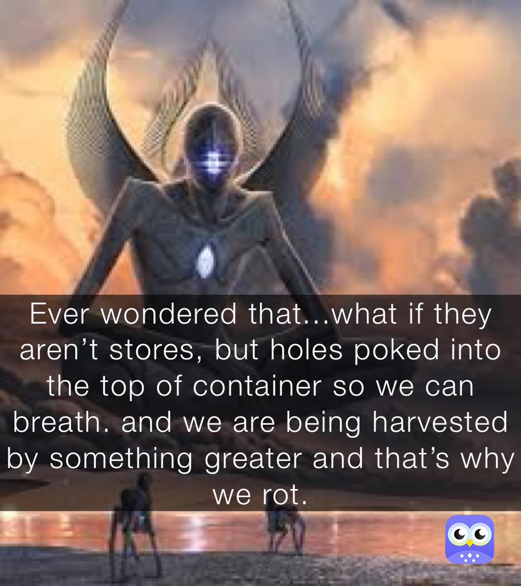 Ever wondered that...what if they aren’t stores, but holes poked into the top of container so we can breath. and we are being harvested by something greater and that’s why we rot.