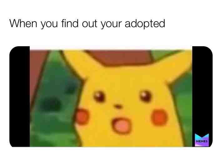 #bestmemes #everything