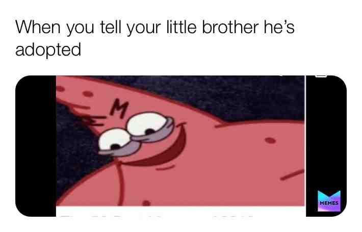 #bestmemes #everything