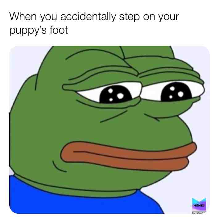 #bestmemes #everything
