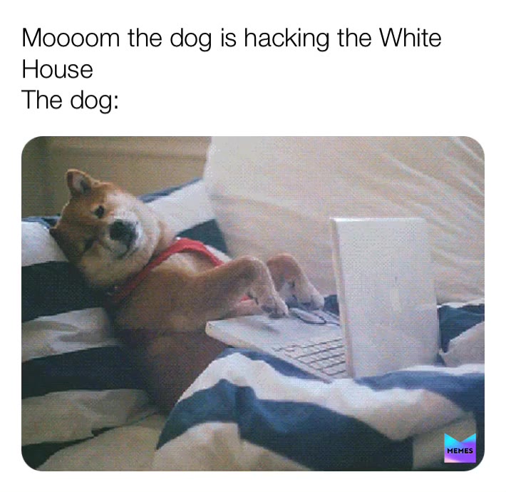 Meme shared by @memeshark555