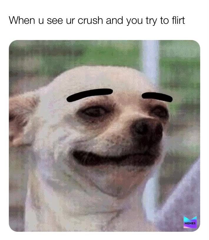 #bestmemes  #dogememe