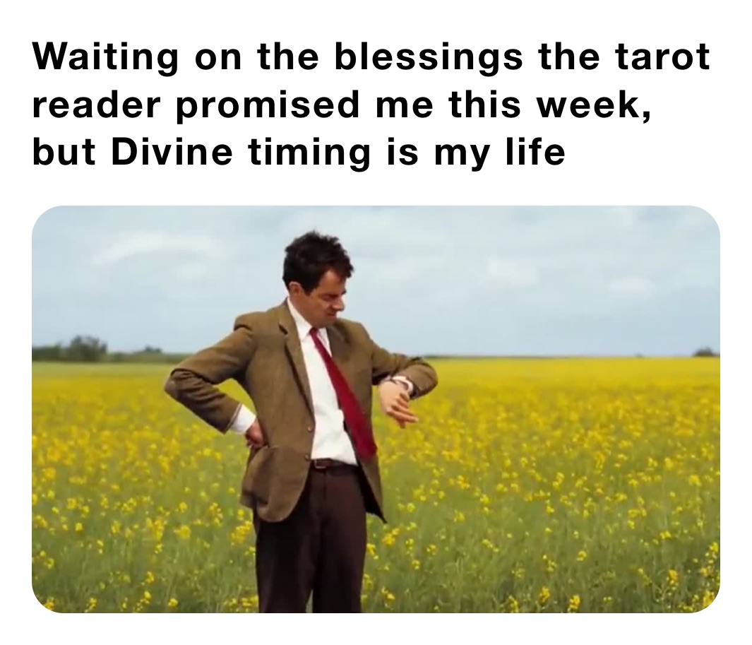 Waiting on the blessings the tarot reader promised me this week, but Divine timing is my life