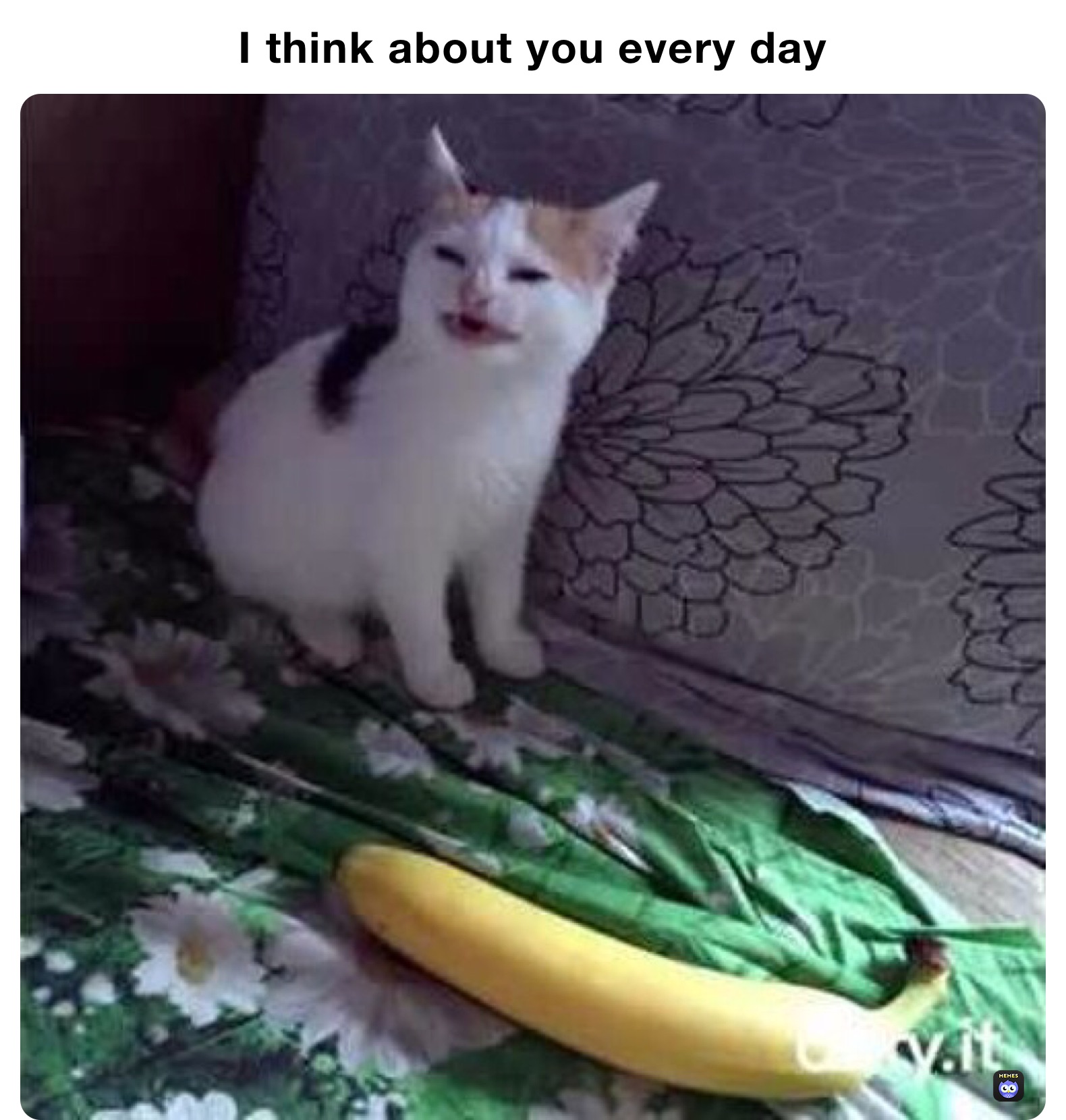 I think about you every day 