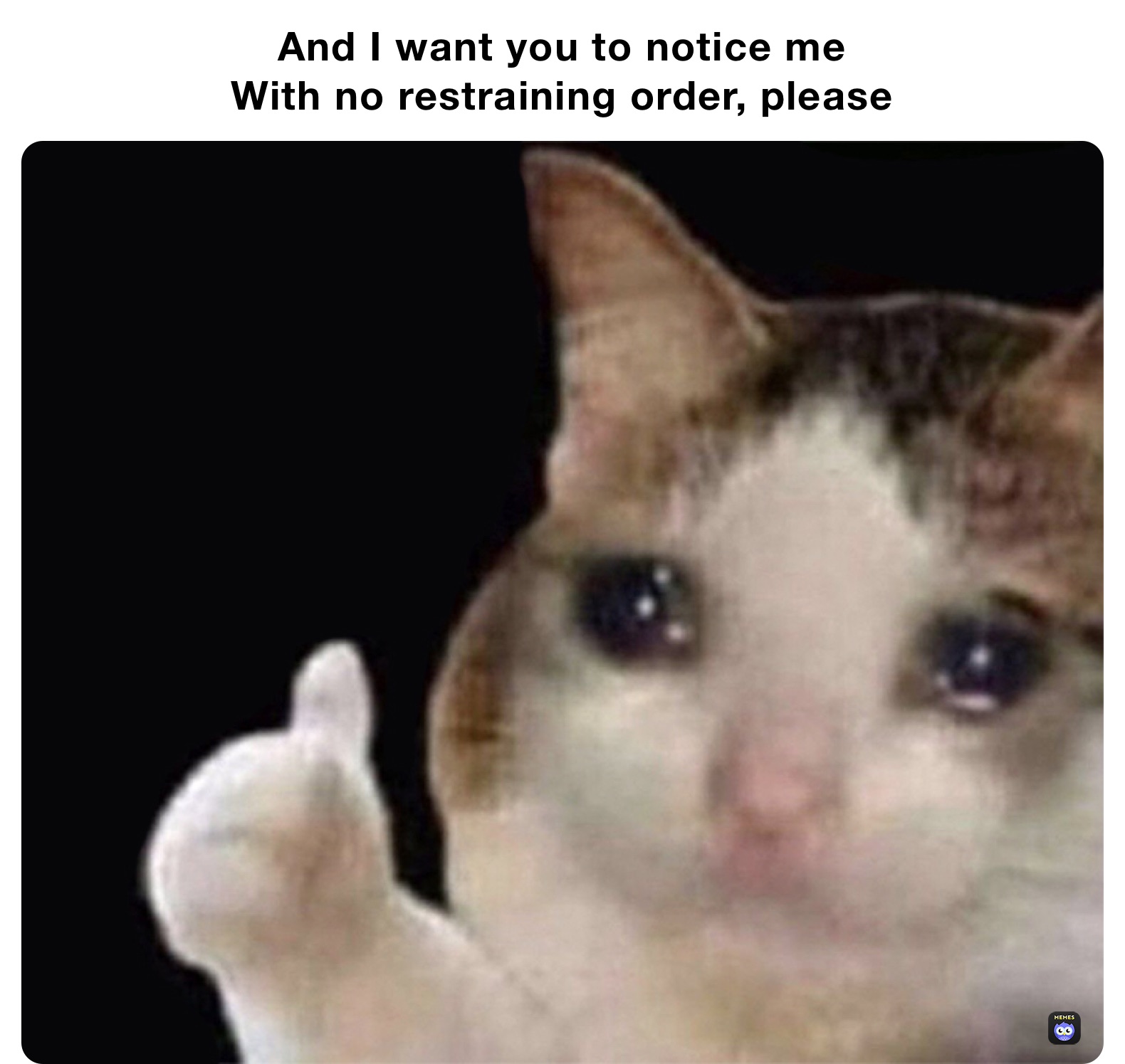 And I want you to notice me
With no restraining order, please 