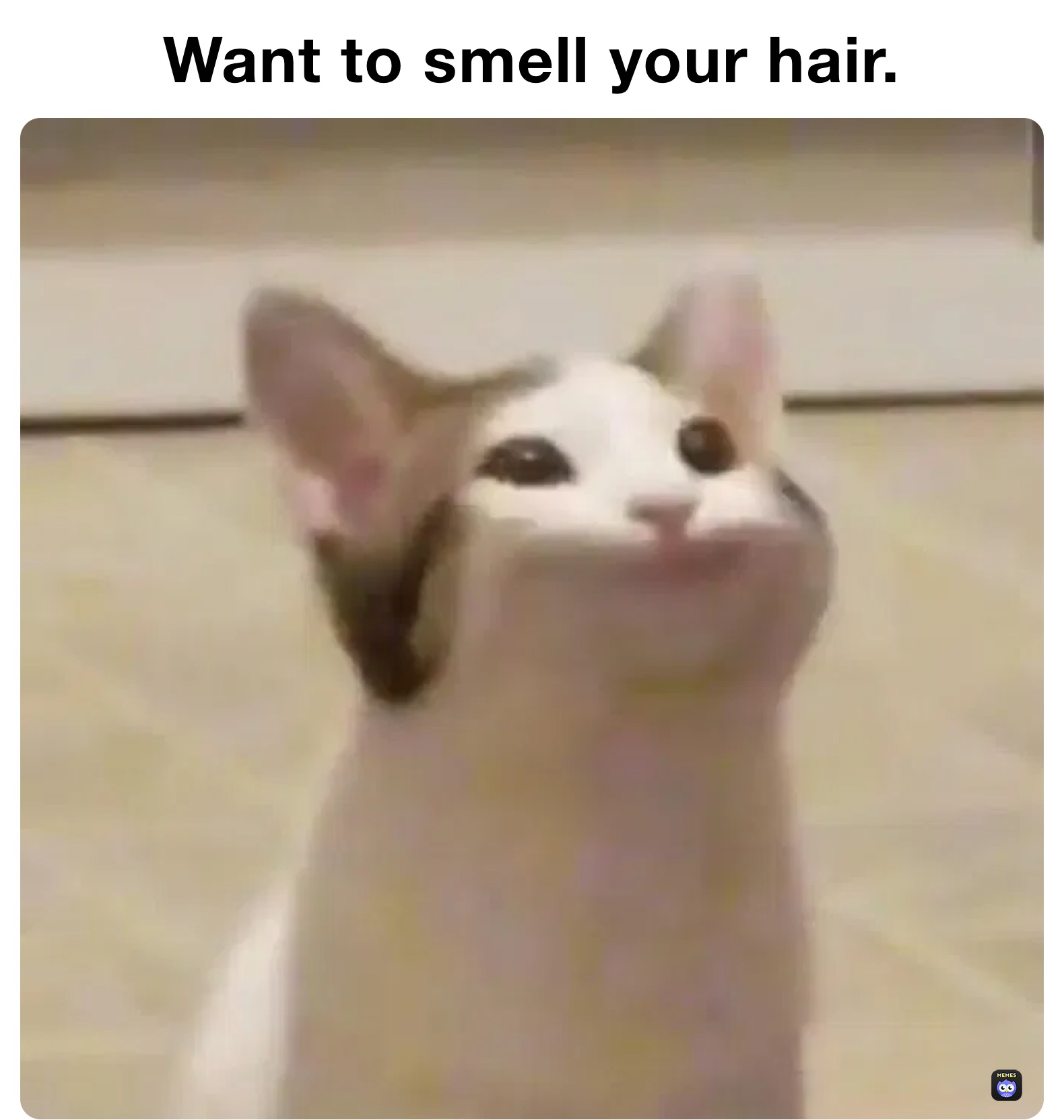 Want to smell your hair.