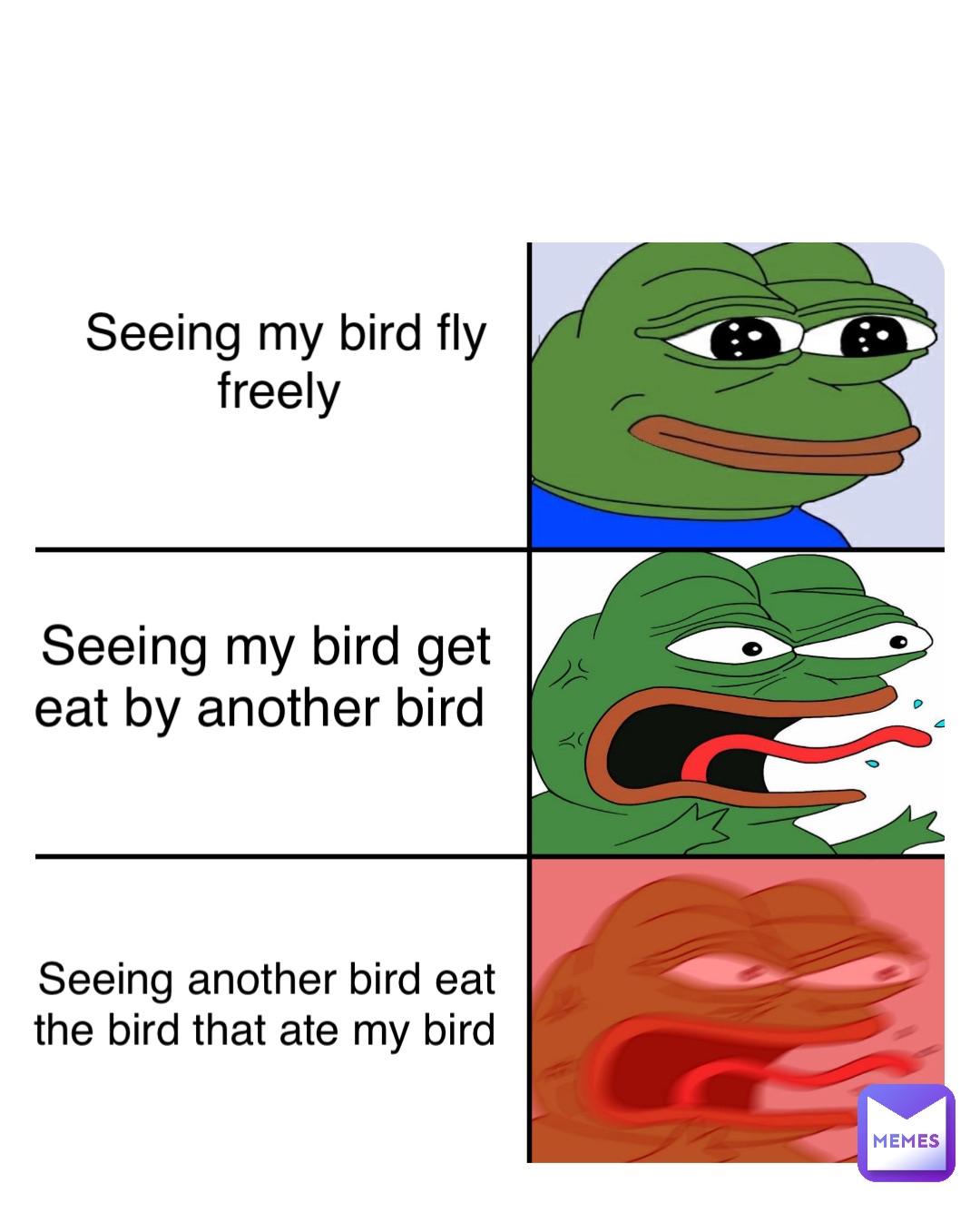Double tap to edit Seeing my bird fly freely Seeing my bird get eat by another bird Seeing another bird eat the bird that ate my bird
