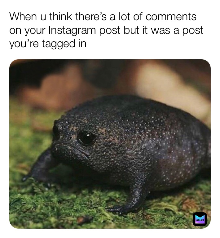 Meme by kenz_gregory