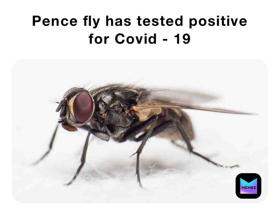 Meme preview