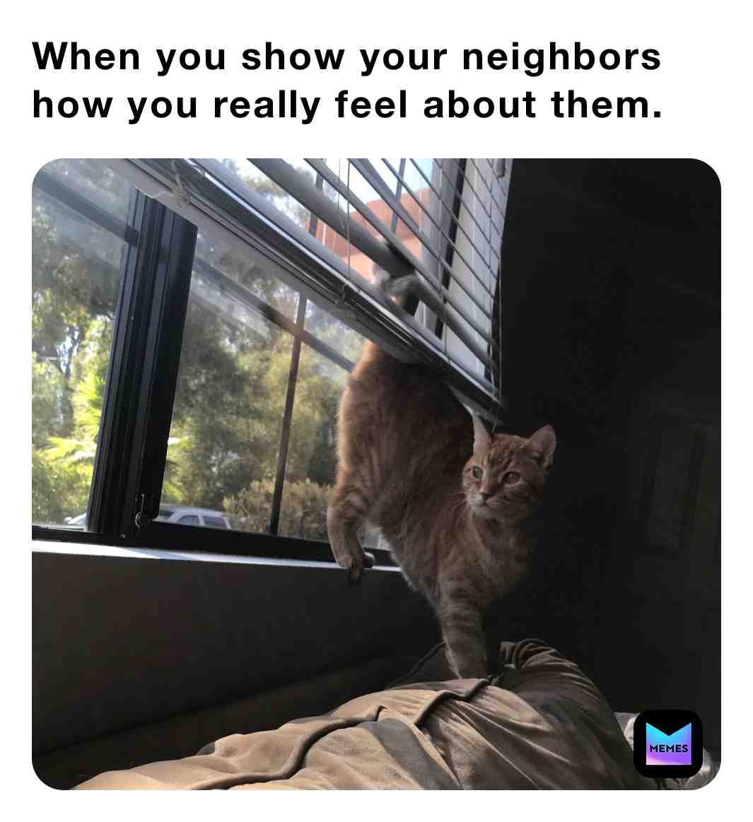 Meme preview