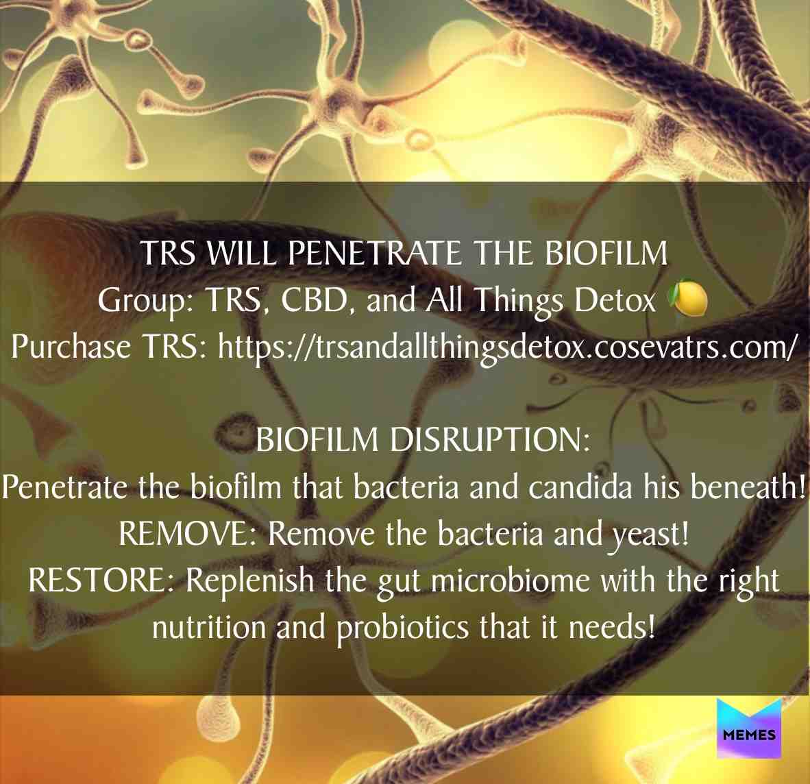 #staywoke Fibromyalgia Censored #chronicpain #wakeup #chronicillness #cbd #inspiration #cbdoil #biofilm #guthealth