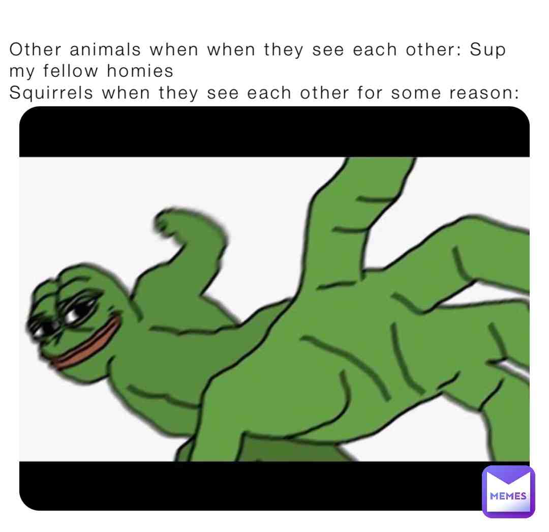 I\u2019m actually serious\u2026 it happens.
\ud83d\udc3f\ud83d\udc3f\ud83d\udc4a
#animalmemes #animallife #squareup #throwinghands