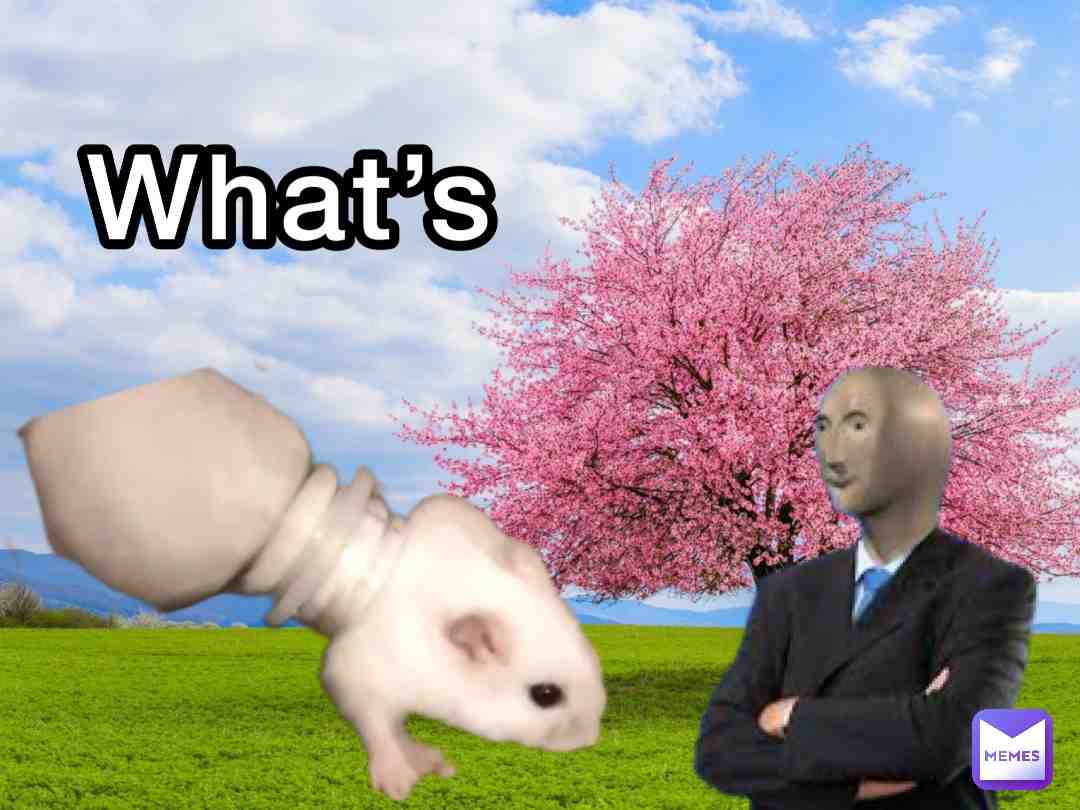 The what\u2019s is up \ud83d\ude33
#greetings