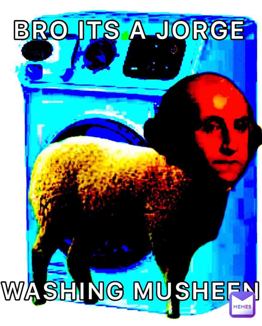 Wishy washy \ud83e\udee7\ud83d\udc11
#georgewashington #sheep