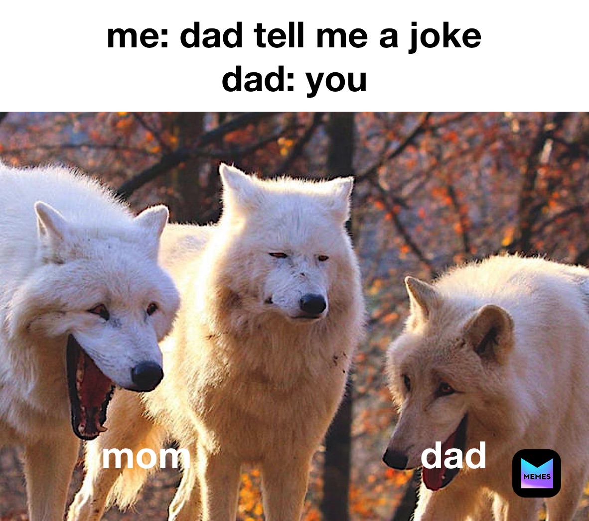 Meme by combat_le_memes