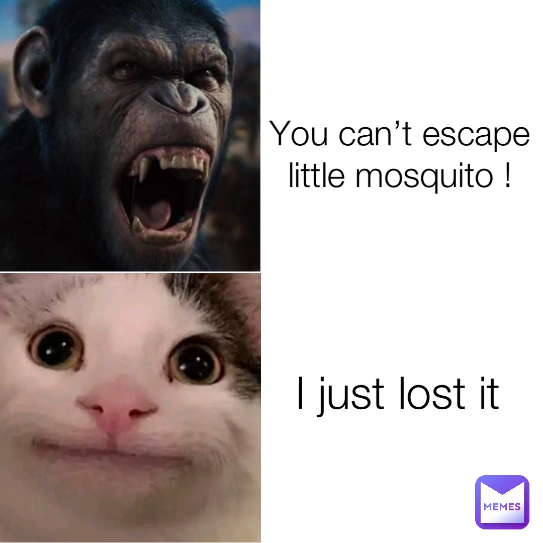 You can’t escape little mosquito ! I just lost it
