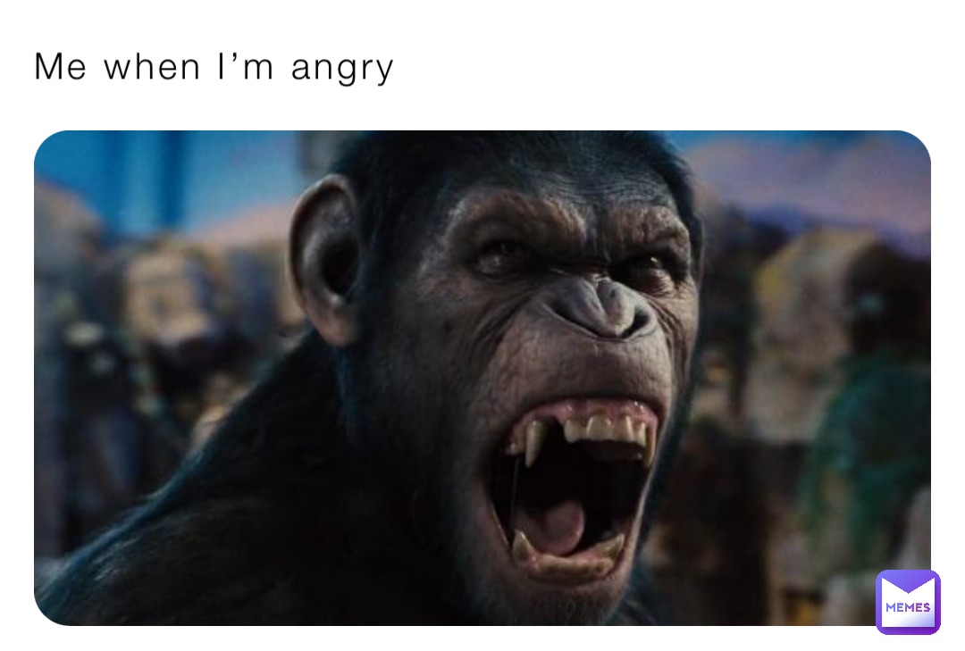 Me when I’m angry