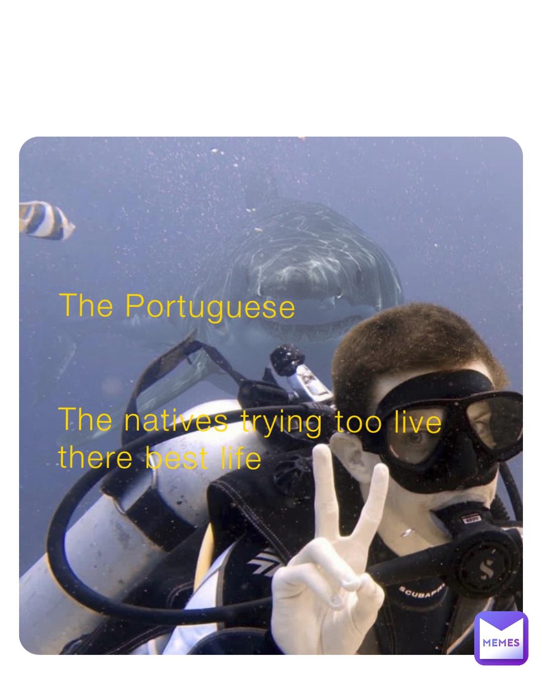 The Portuguese 


The natives trying too live there best life