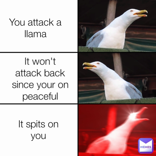 It won't attack back since your on peaceful It spits on you You attack a llama