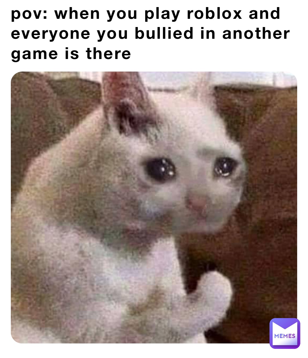 pov: when you play roblox and everyone you bullied in another game is there