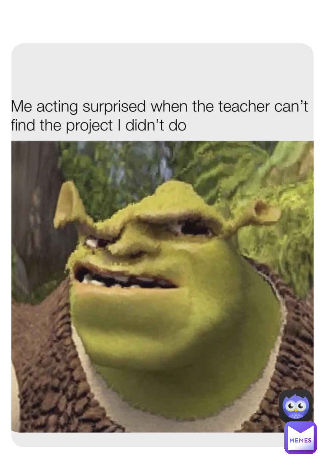 Shrek meme teacher｜TikTok Search