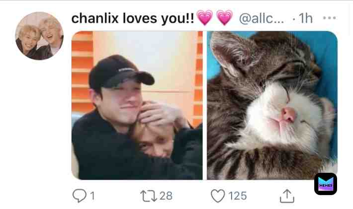 Meme shared by @Stray_kids_stay