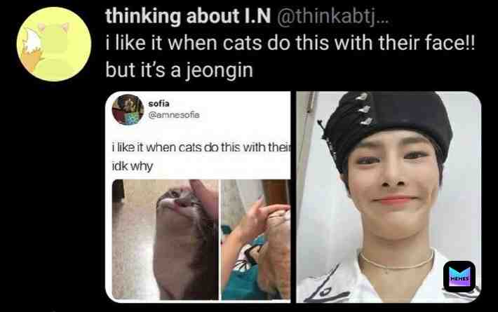 Meme shared by @Stray_kids_stay