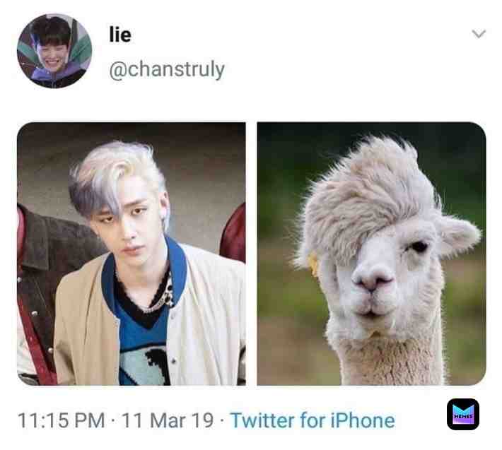 Meme shared by @Stray_kids_stay
