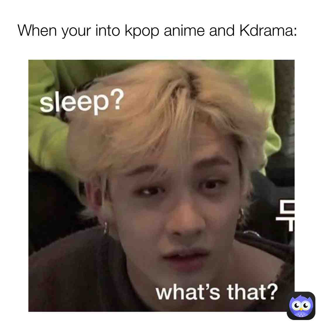 Meme shared by @Stray_kids_stay