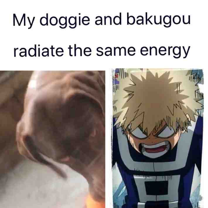 Meme shared by @ICE__SHEESH