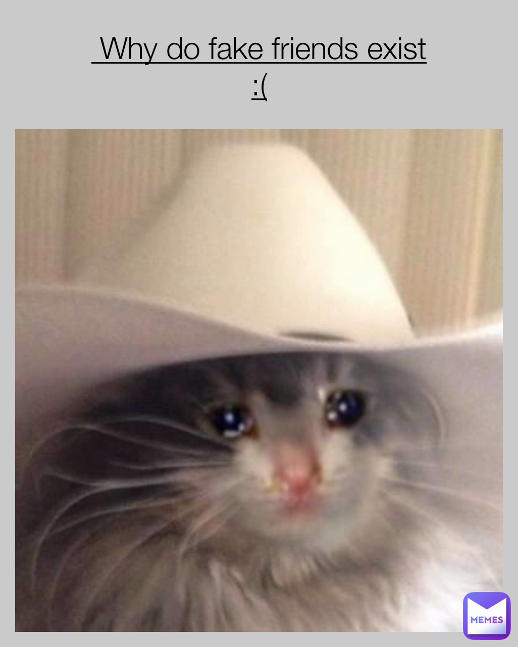 Meme by jazmin-gallegos