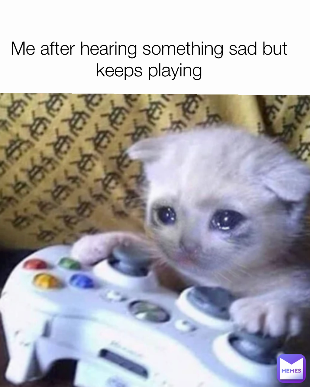 Meme by jazmin-gallegos