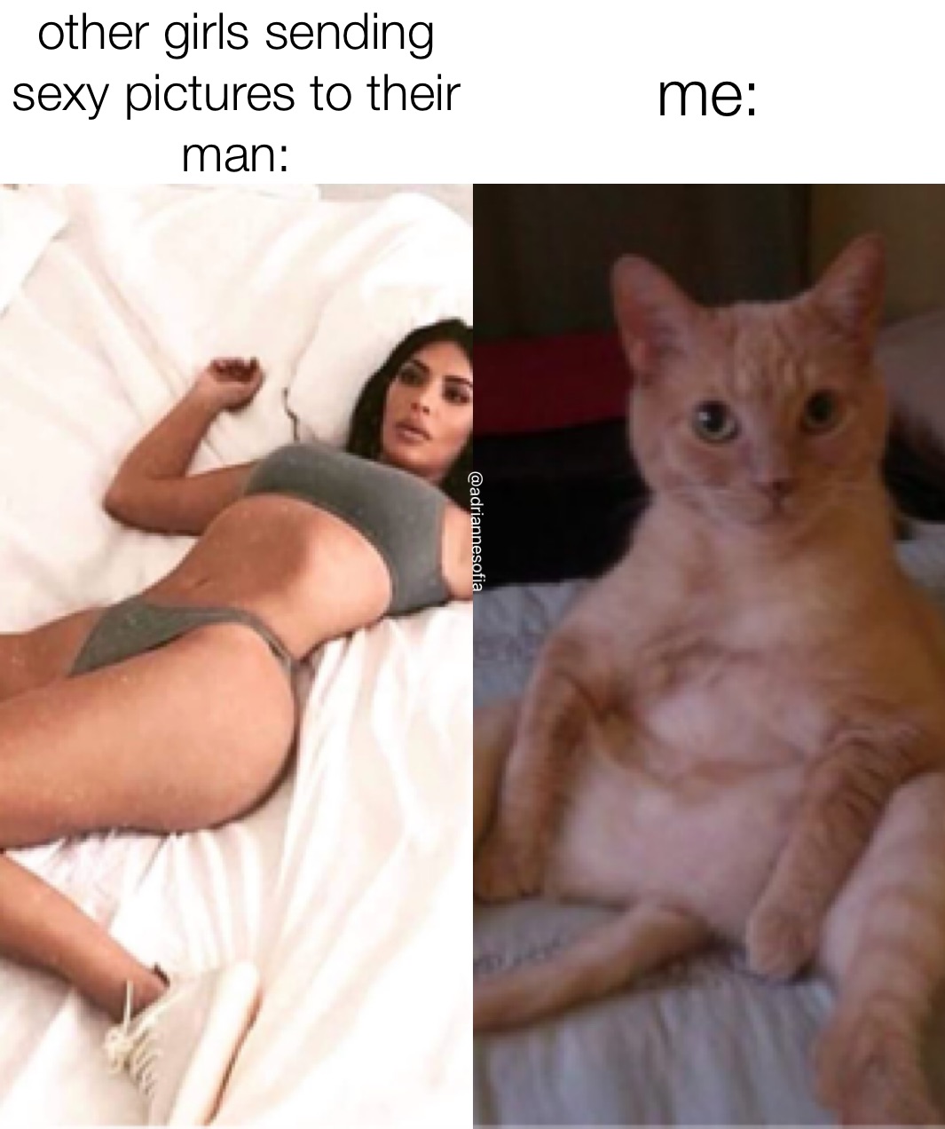 Meme by adriannesofia7