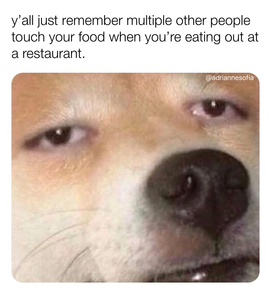 Meme by adriannesofia7