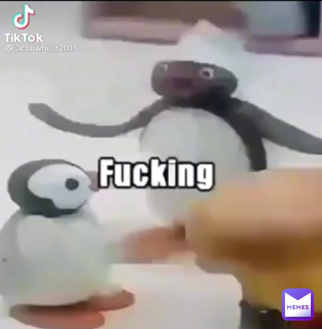 penguin russian meme cropped｜TikTok Search