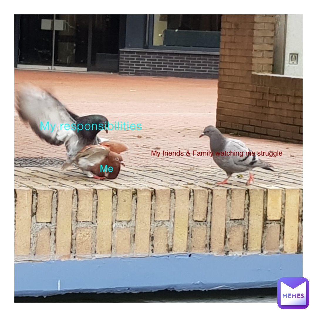 My responsibilities Me My friends & Family watching me struggle