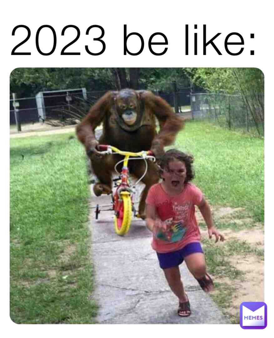 Meme shared by @TheWildMemeHunter