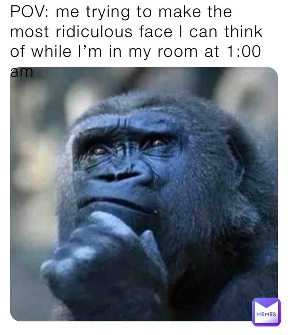 Meme shared by @TheWildMemeHunter