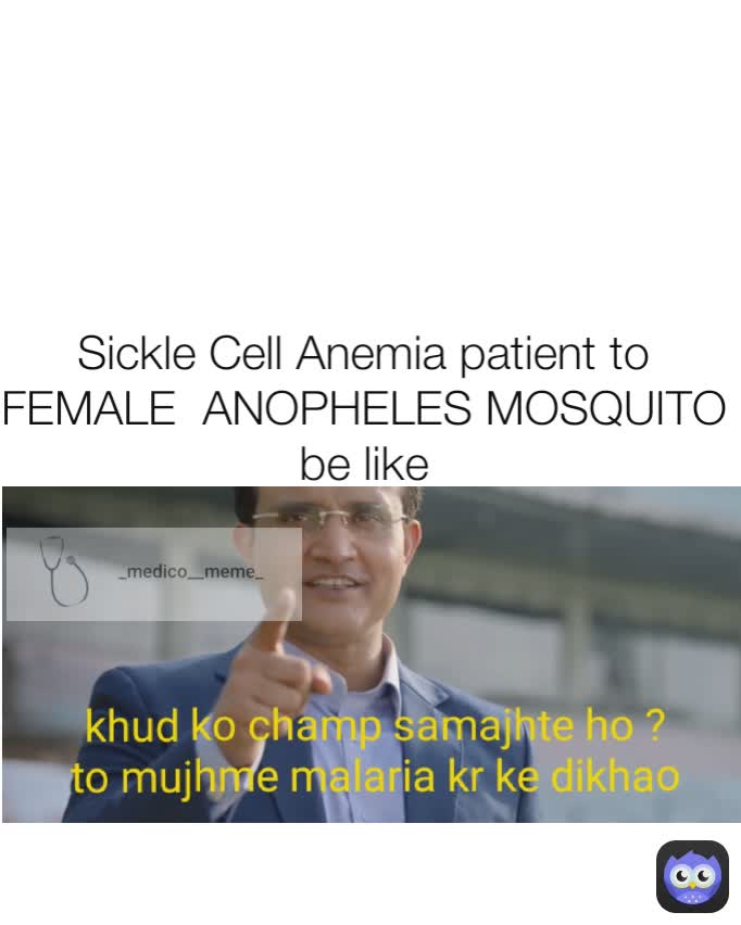 Sickle Cell Anemia patient to FEMALE  ANOPHELES MOSQUITO be like