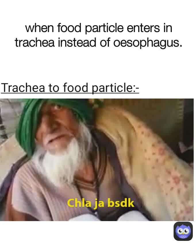 when food particle enters in trachea instead of oesophagus. Trachea to food particle:- Type Text Chla ja bsdk