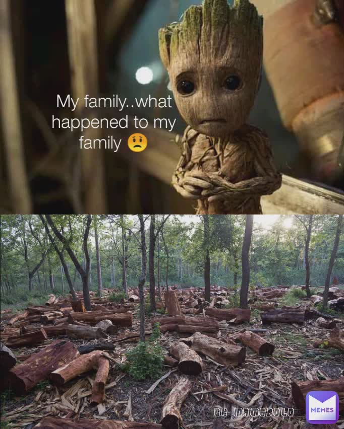 My family..what happened to my family 😟 CK MAMABOLO