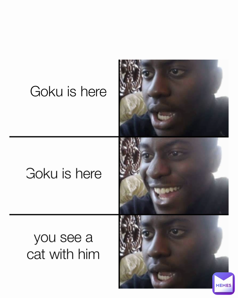 Goku is here  you see a cat with him Goku is here
