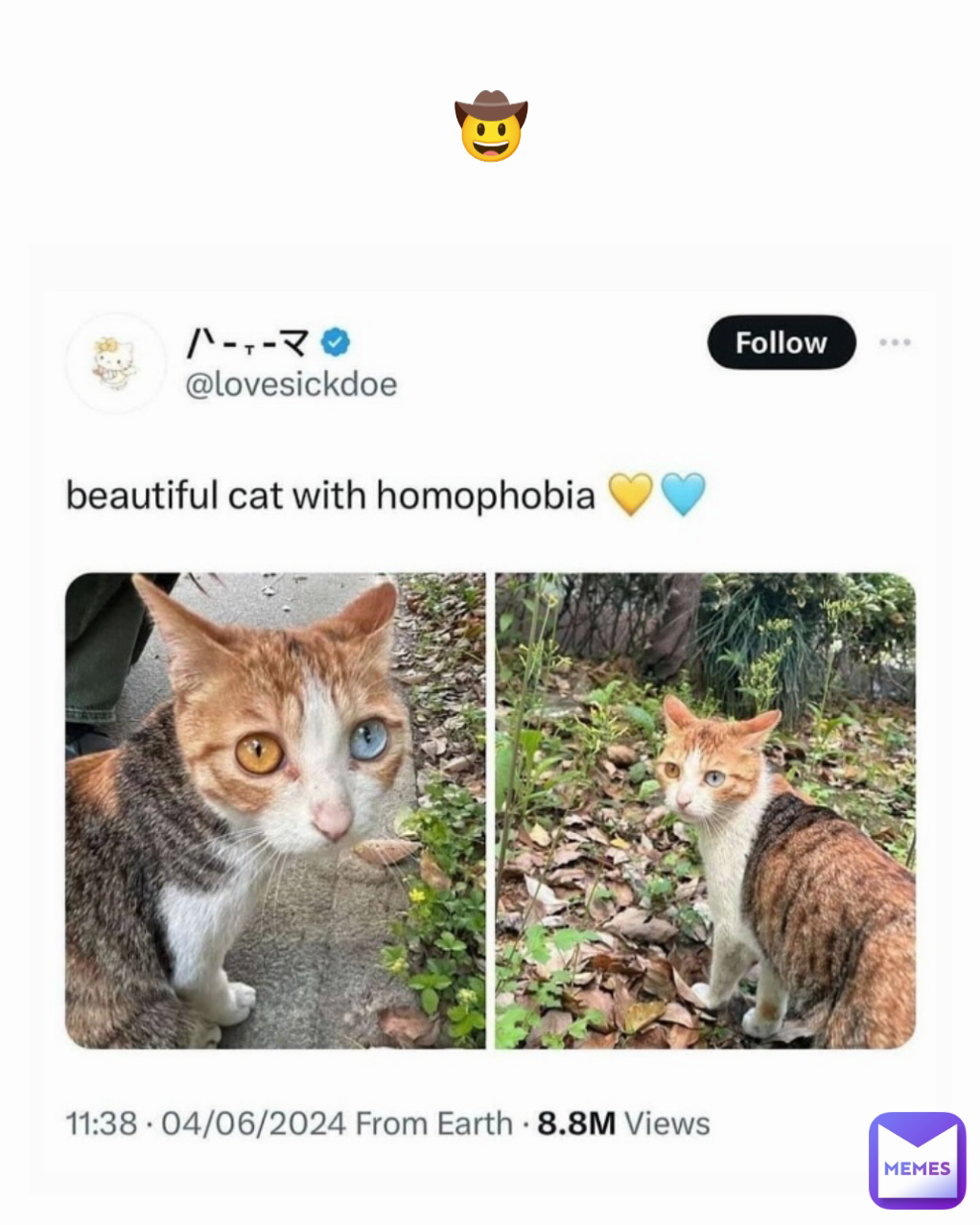 🤠