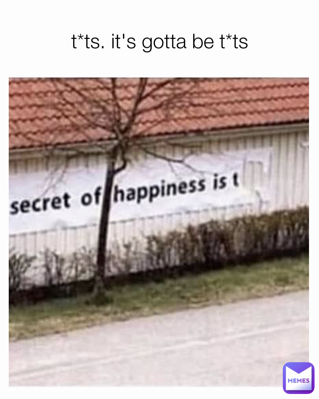 t*ts. it's gotta be t*ts