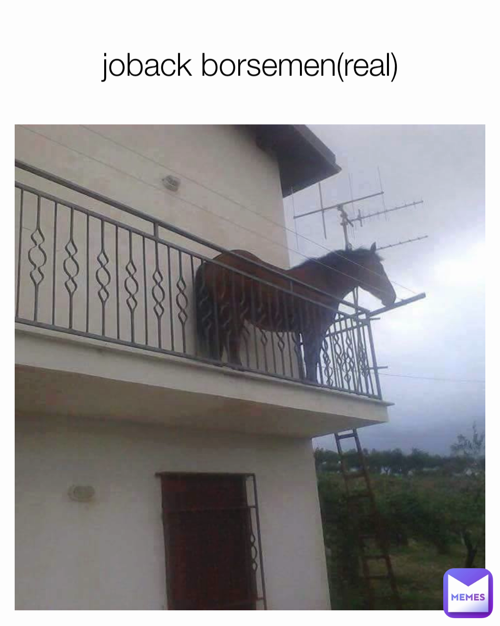 joback borsemen(real)