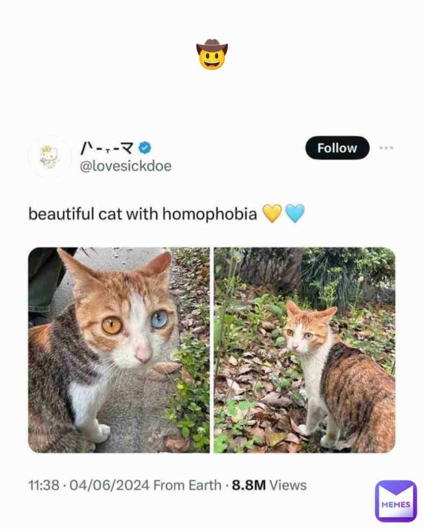 Meme shared by @fezco
